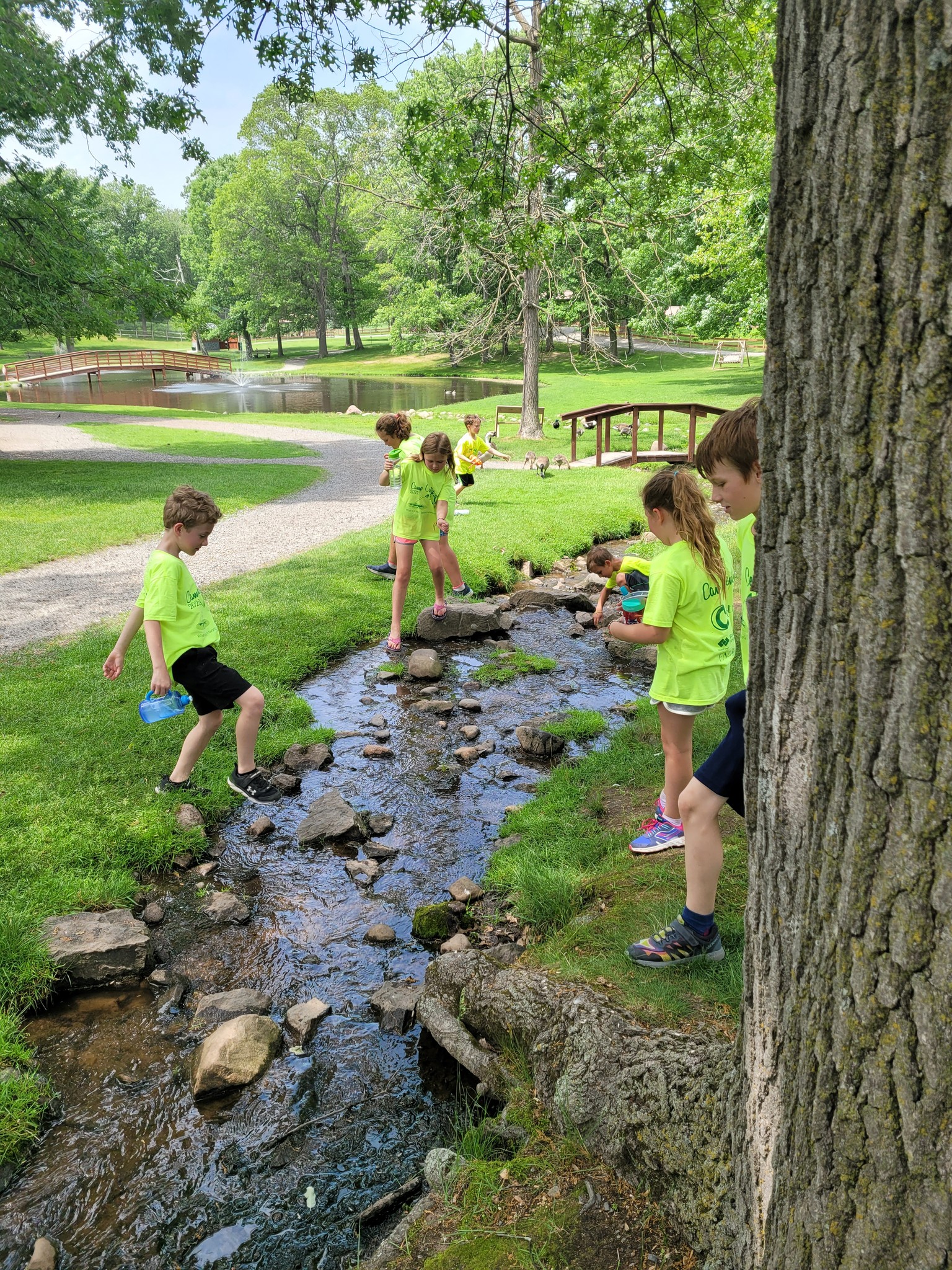 Children are playing near a shallow creek in a park